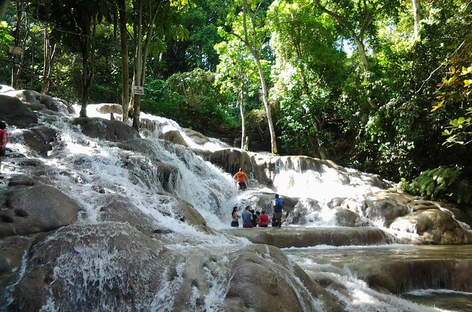 Blue Hole, Dunn's River Falls Luminous Lagoon Excursion From Montego Bay - Price and Value: What the $210.33 Per Person Covers
