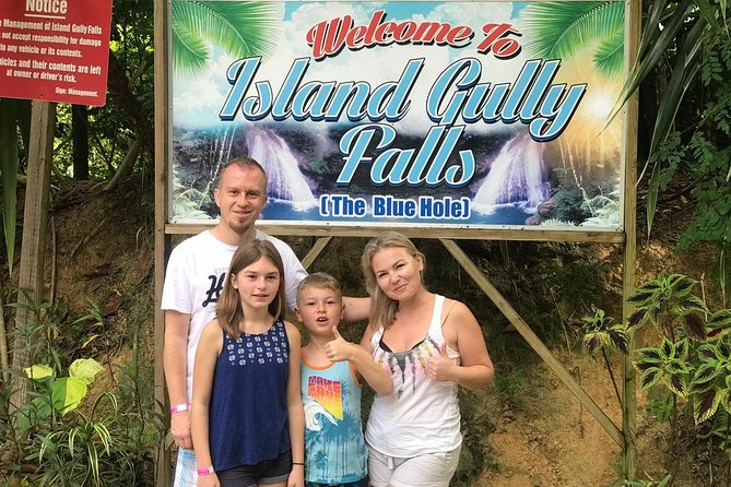 Blue Hole & Jamaica Sightseen Tour Included Transportation - A half-day road trip that actually earns the drive