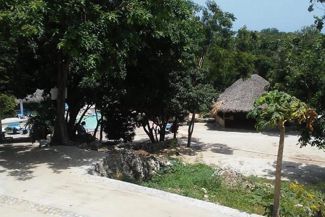 Blue Hole Mineral Spring and Ricks Cafe Private Tour - Rick’s Cafe: cliff-jumping spectacle, reggae vibes, and sunset energy