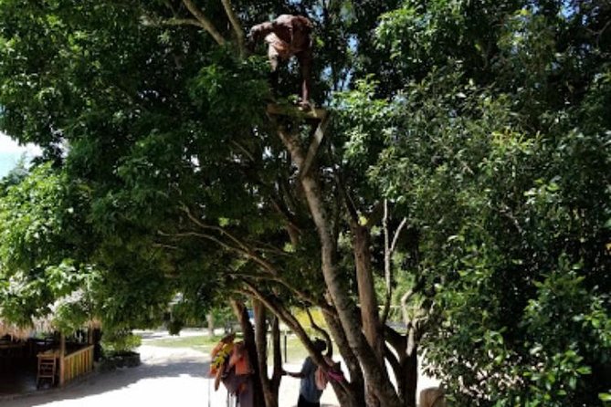 Blue Hole Mineral Spring and Ricks Cafe Private Tour - Price and value: is $160 per person a good deal?
