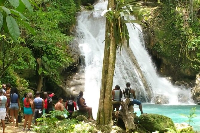 Blue Hole/Secert falls and Dunns River Combo Tour - Price and value: what $124 per person really covers