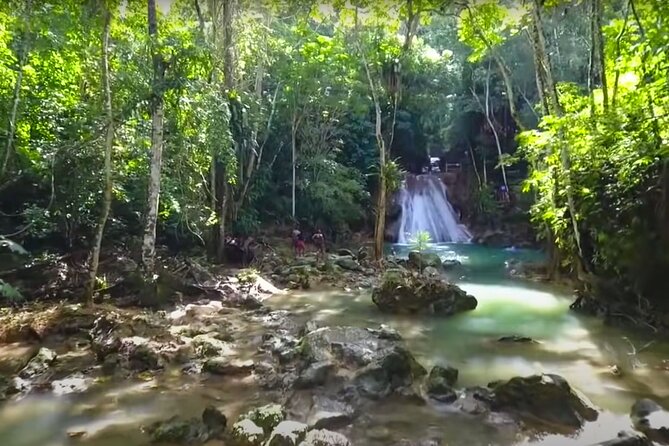 Blue Hole Waterfalls and Rasta Garden from Montego Bay - Calby’s Hidden Beauty River: Rastafari culture through one person’s garden