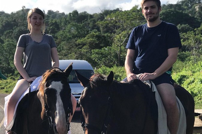 Blue hole waterfalls + horseback riding from Montego bay - From Montego Bay to Ocho Rios, How the Day Flows