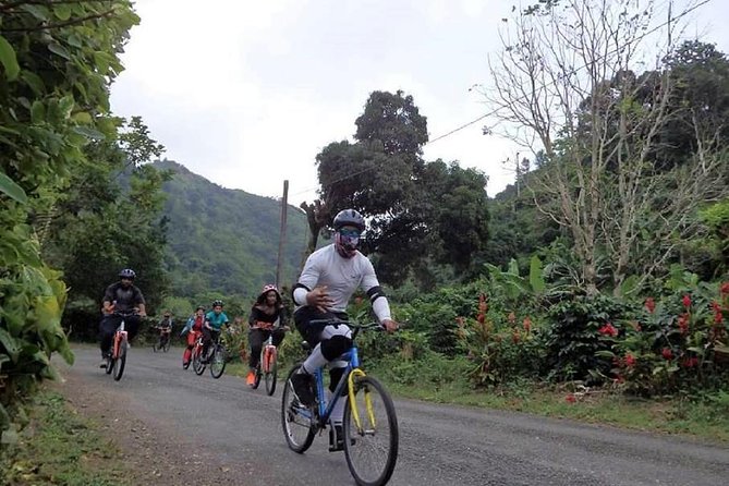 Blue Mountain Bicycle Tour from Montego Bay - The long morning grind, and how to make it feel shorter