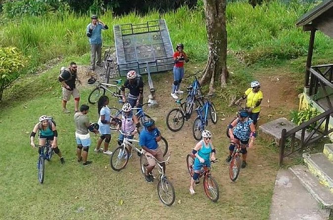 Blue Mountain Bicycle Tour from Montego Bay - Coffee country sights, and why the Blue Mountain fields matter