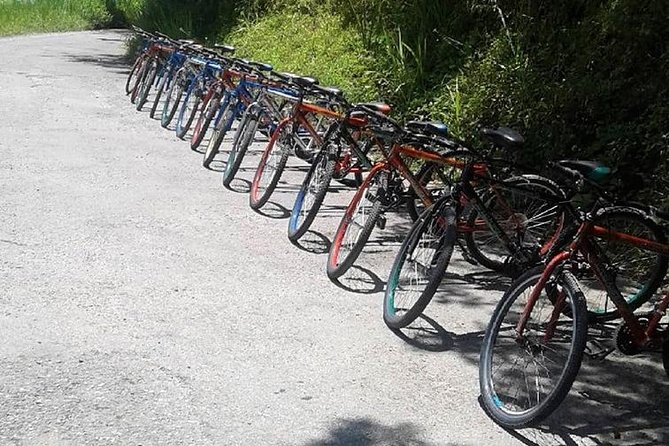 Blue Mountain Bicycle Tour from Montego Bay - Meals included: light breakfast, then lunch (and manage expectations)