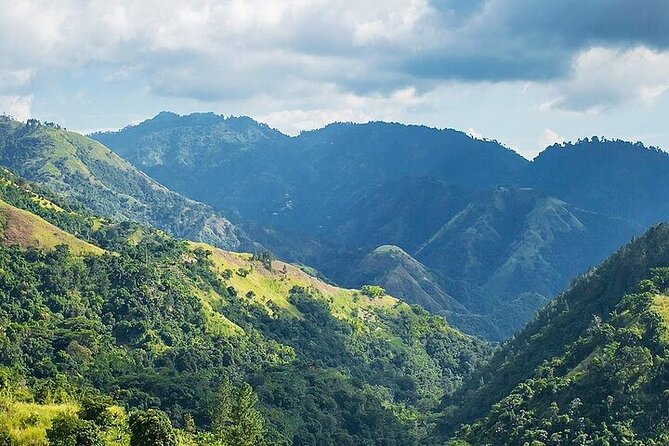 Blue Mountain Coffee, Bob Marley and Art Tour from Montego Bay - Strawberry Hill: the optional view stop that can save the day