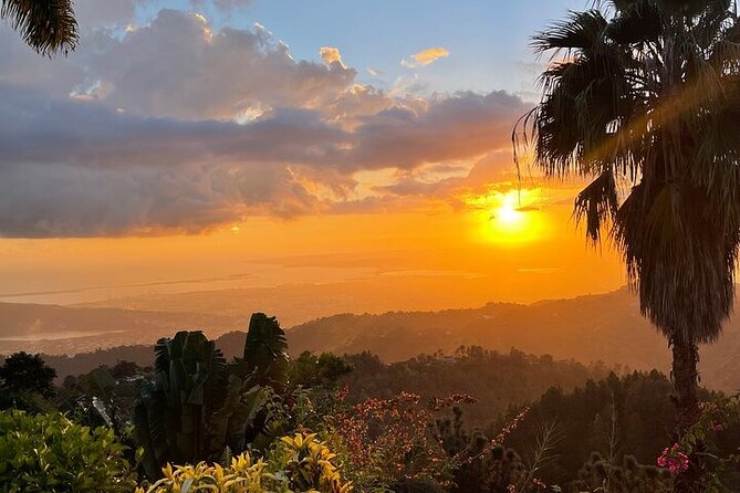Blue Mountain Coffee, Bob Marley and Art Tour from Montego Bay - Transportation realities and how to protect yourself
