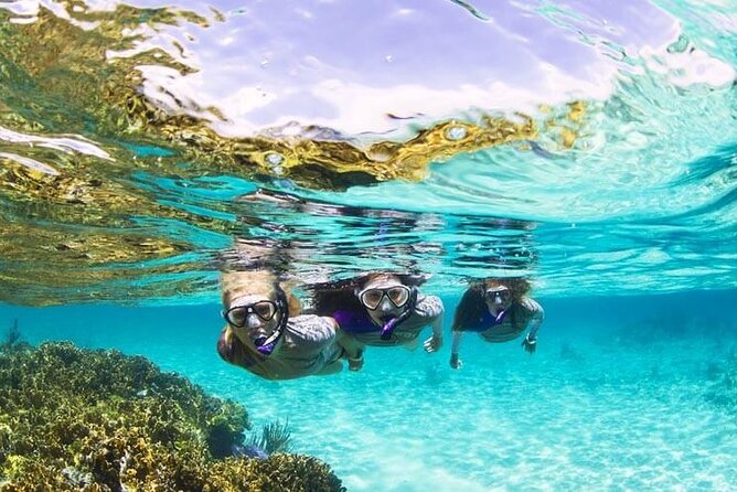 Boatride & Snorkeling then Margaritaville Hipstrip Activity - Door-to-door pickup in air-conditioned comfort