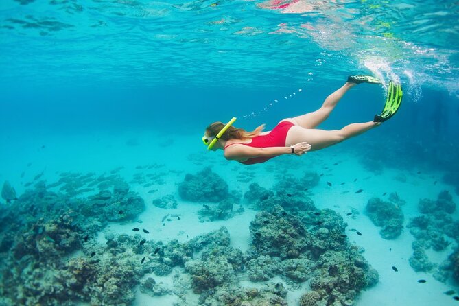 Boatride & Snorkeling then Margaritaville Hipstrip Activity - Price and value: where the $40 actually goes