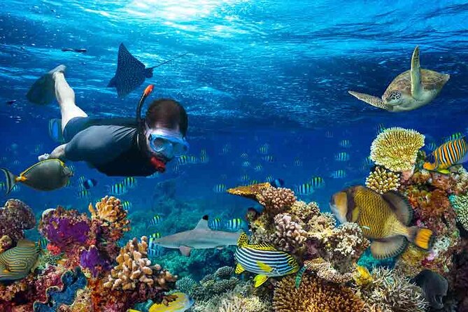 Boatride & Snorkeling then Margaritaville Hipstrip Activity - Safety, comfort, and how the guides shape the experience