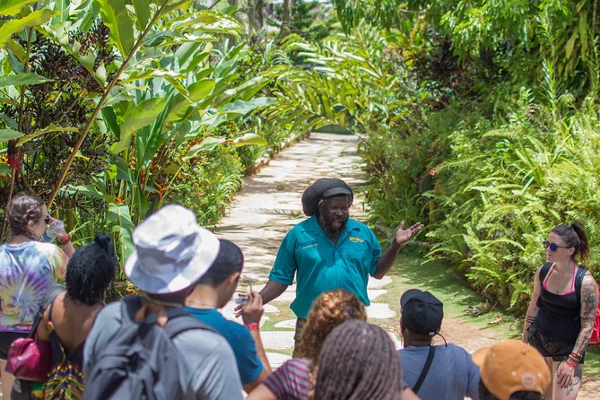 Bob Marley 9 Mile Tour Admission - What to wear and bring for a hillside visit