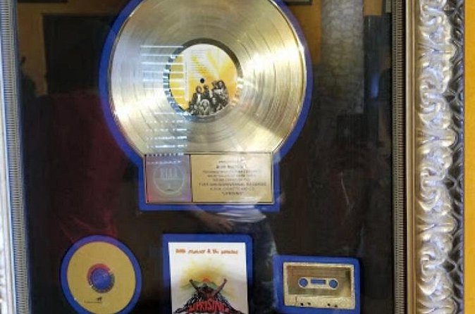 Bob Marley Birth Place Private Tour - Who this private Nine Mile tour fits best
