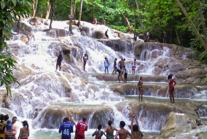 Bob Marley Nine Mile and Dunn's River Falls Tour From Montego Bay - Who this tour suits best, and who should think twice