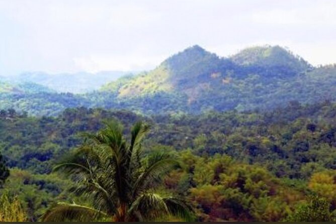 Bob Marley Nine Mile Home Private Tour from Montego Bay - Quick highlights