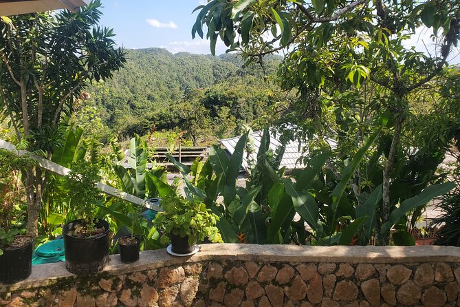 Bob Marley Nine Mile Home Private Tour from Montego Bay - Price and value: is $190 per person a good deal?