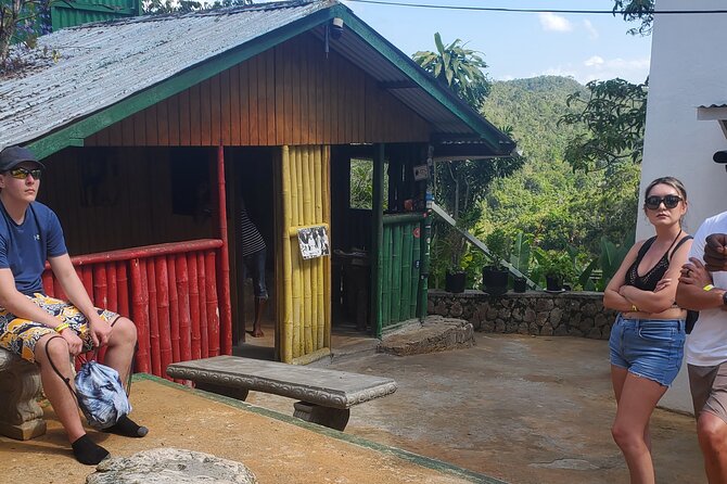 Bob Marley Nine Mile Home Private Tour from Montego Bay - Who should book this private Nine Mile tour