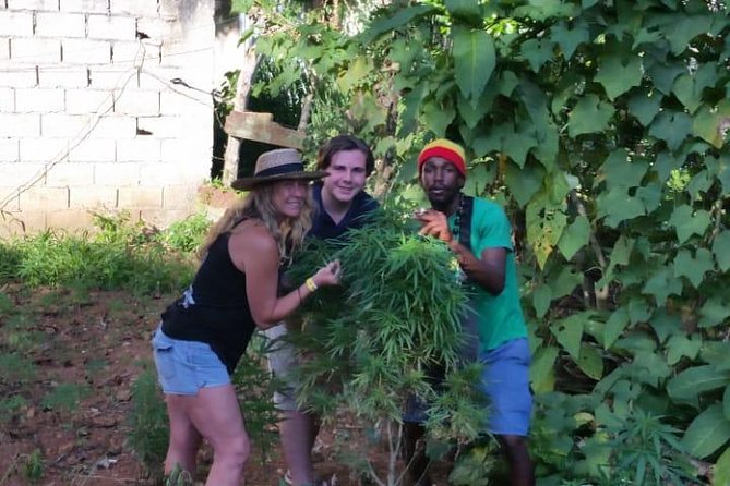 Bob Marley's Nine Mile & Dunns River Falls Tour: Transportation & Ticket - What You Really Get for $205 Per Person