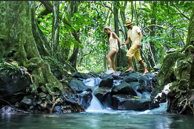 Bush Hiking to explore Wild Plants & Fresh Fruits,Montego Bay - The waterfall finale: cooling off, photos, and simple safety sense