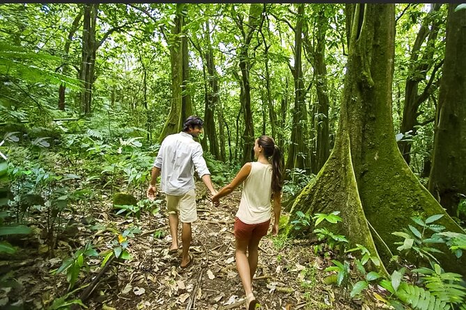 Bush Hiking to explore Wild Plants & Fresh Fruits,Montego Bay - What’s included in the $160 price, and what you may add