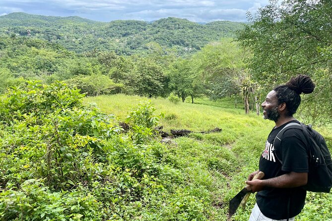 Bush Hiking to explore Wild Plants & Fresh Fruits,Montego Bay - Who this hike suits best, and who should think twice