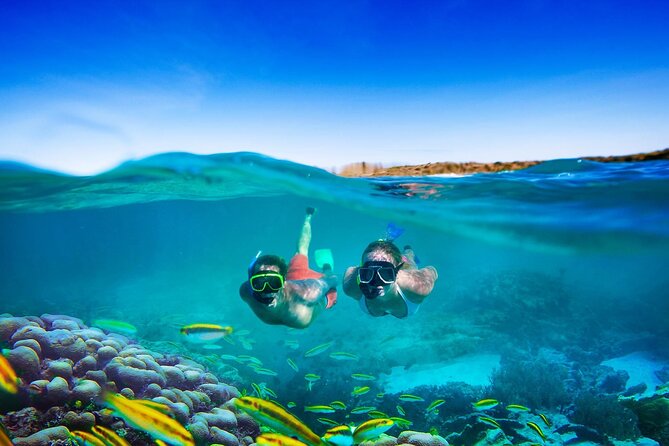 Catamaran Party Cruise and Snorkeling from Montego Bay - Small groups with a max of 50: what that means for your day
