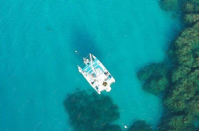 Catamaran, snorkeling & Dunn's River Falls - Snorkeling Stop: What the Water Time Feels Like