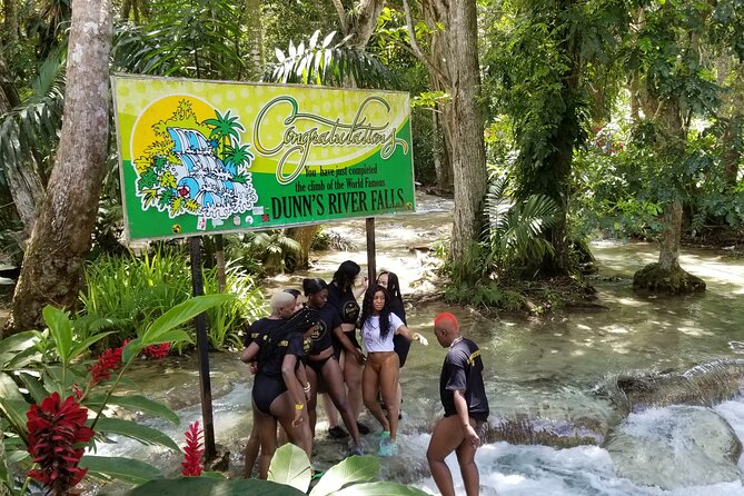 Chuck Norris Secret Falls and Dunn's River Falls - Dunn’s River Falls: The Iconic Limestone Climb (and Your Alternatives)