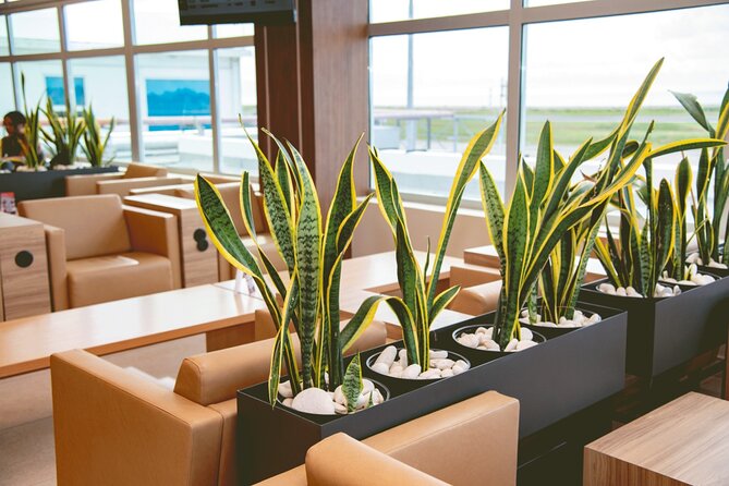 Club Mobay Sangster Airport VIP Lounge with Priority Entry - Food, drinks, Wi-Fi, and the little comforts you will actually use