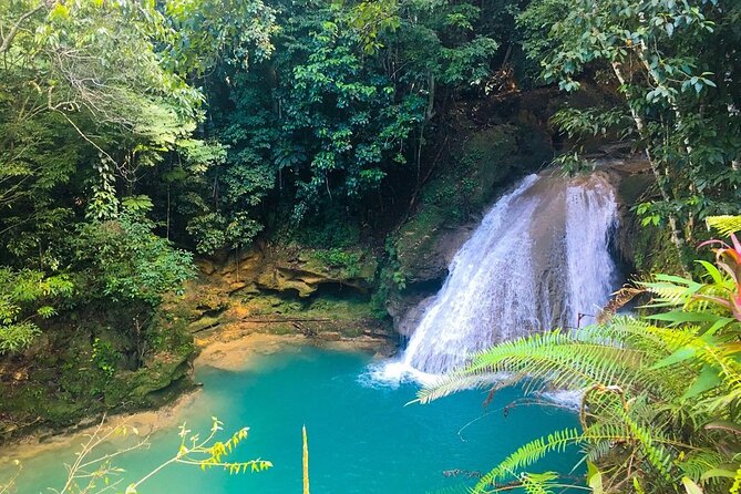 Combo Tour Dunn's River Falls and BlueTour from falmouth - Air-conditioned transport and small-group pacing from Falmouth