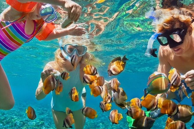 Customize Snorkeling with Option shopping Lunch & Stop local food - Why This Montego Bay Snorkeling Tour Feels Low-Stress