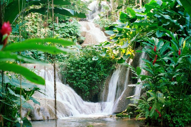 Day Trip to Bob Marley's Nine Mile and Dunn's River Falls from Falmouth - Scotchies Outdoor Garden Restaurant Stop: Jerk Lunch Without the Guesswork