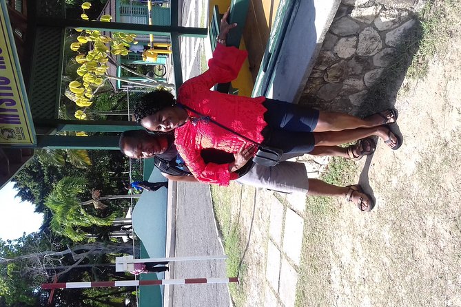 Day Trip to Dunn's River Falls from Montego Bay - Swimming, sunbathing, and the part people remember most