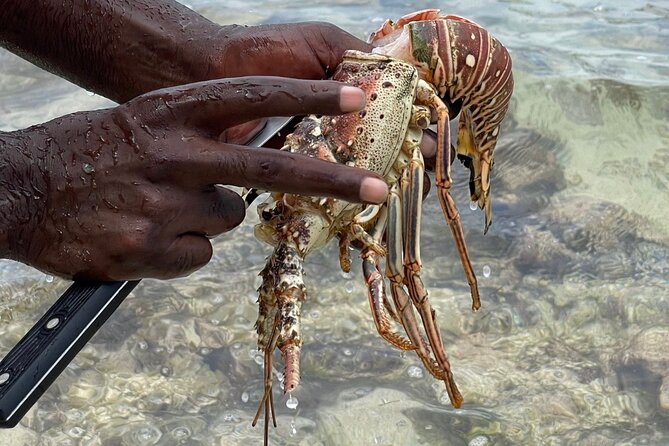 Day Trip to Negril from Montego Bay/Boat Ride to Booby Cay Island/Lobster Lunch - Booby Cay Island: Beach Lunch, Lobster Seasonality, and the Boat Ride