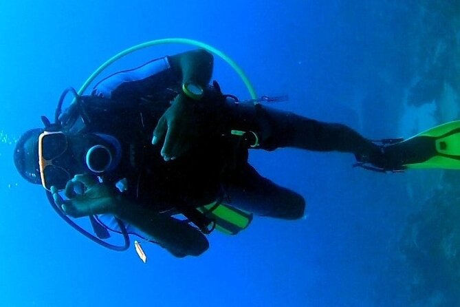 Discover Scuba Diving in Montego Bay-ONE Tank (First time Diving) - Carl and PADI-certified coaching, what good instruction feels like