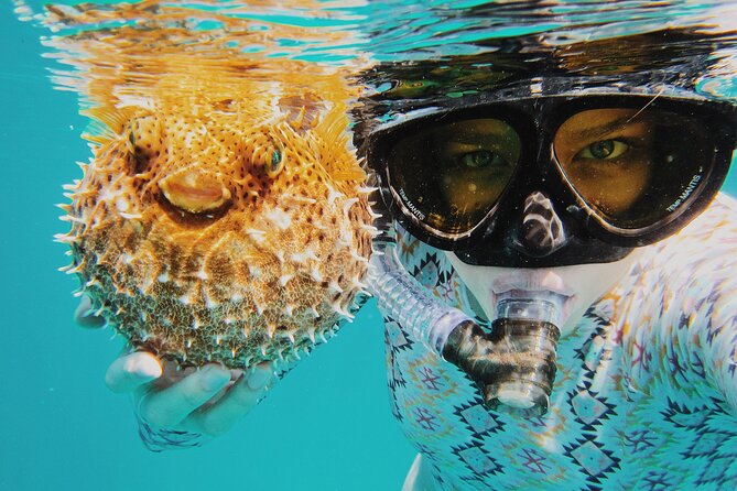 Discover Scuba Diving in Montego Bay-ONE Tank (First time Diving) - Gear and bottled water included, so you can pack light