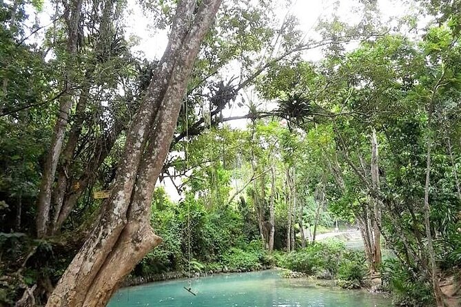 Dunn's Falls and Blue Hole Daytrip with Lunch from Montego Bay & Trelawny - Key reasons this half-day combo works