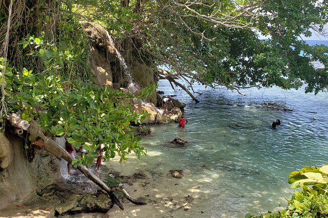 Dunn's Falls and Blue Hole Daytrip with Lunch from Montego Bay & Trelawny - Stop 2 at Dunn’s River Falls: the 600-foot climb
