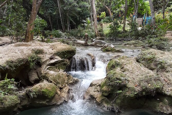 Dunn's Falls and Blue Hole Daytrip with Lunch from Montego Bay & Trelawny - Who this tour fits best