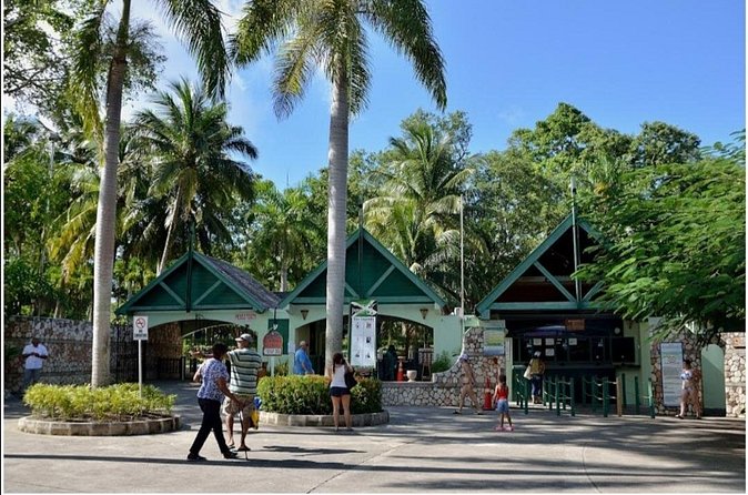 Dunn's River Fall's - What to Pack (So You Don’t End Up Buying Everything Last Minute)