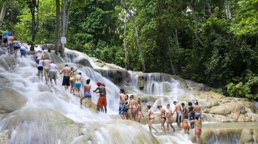 Dunn's River Falls and Bob Marley Mausoleum Tour - Who This Tour Fits Best (and Who Should Consider Another Option)