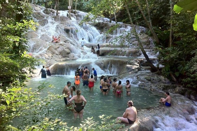 Dunn's River Falls and Jamaica Sightseeing Private Tour - Price and Logistics: Is This Worth the $125?