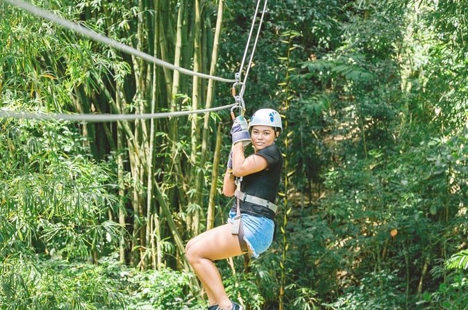 Dunn's River Falls and Park Tour with Zip Line from Montego Bay - Guide and Vehicle Setup That Makes It Feel Easier