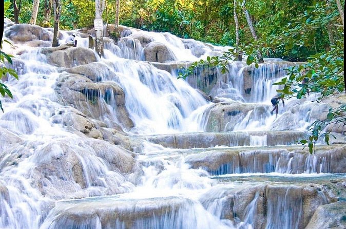 Dunn's River Falls and Park Tour with Zip Line from Montego Bay - Who This Tour Suits Best, and Who Might Rethink It