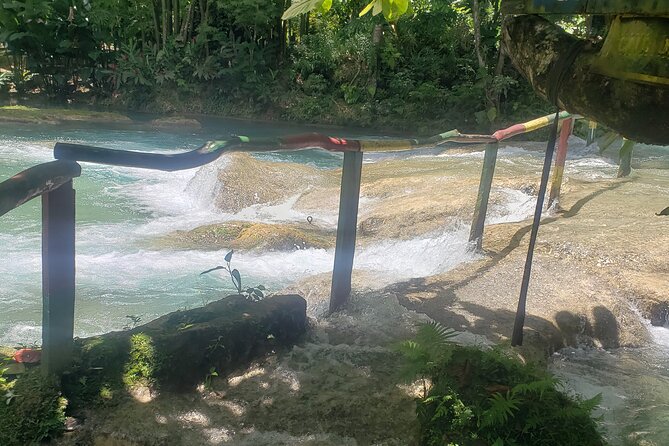 Dunn's River Falls & Blue Hole Tour from Montego Bay - The Anni Palmer Story, Explained on the Way