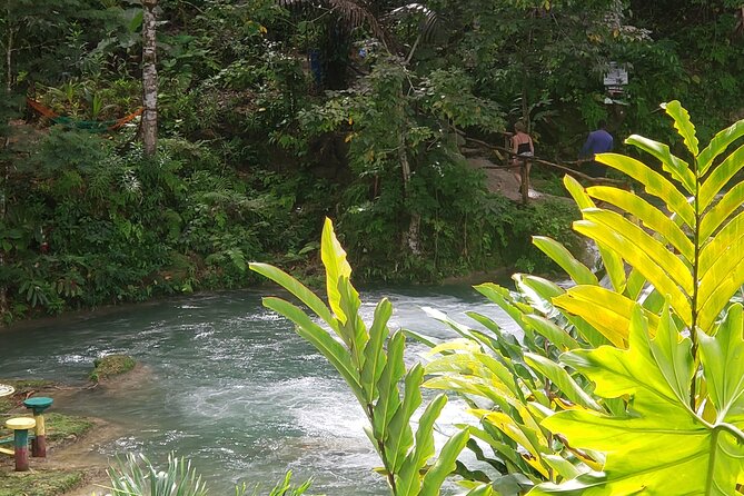Dunn's River Falls & Blue Hole Tour from Montego Bay - Scotchies Drax Hall: Jerk Food at Your Own Expense