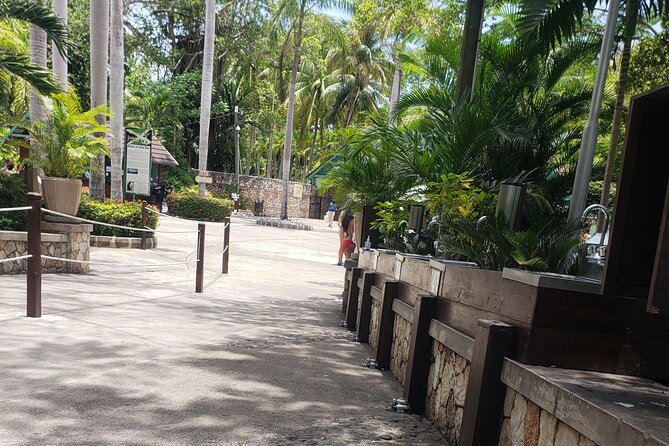 Dunn's River Falls & Blue Hole Tour from Montego Bay - Dunn’s River Falls Climb: Crowds, Wet Shoes, and Getting There Early