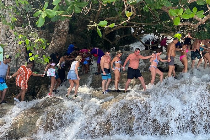 Dunn's River Falls Climb and Beach Include Entry Fee (ᵔᵕᵔ) - Transportation Setup, Comfort, and How the Day Flows