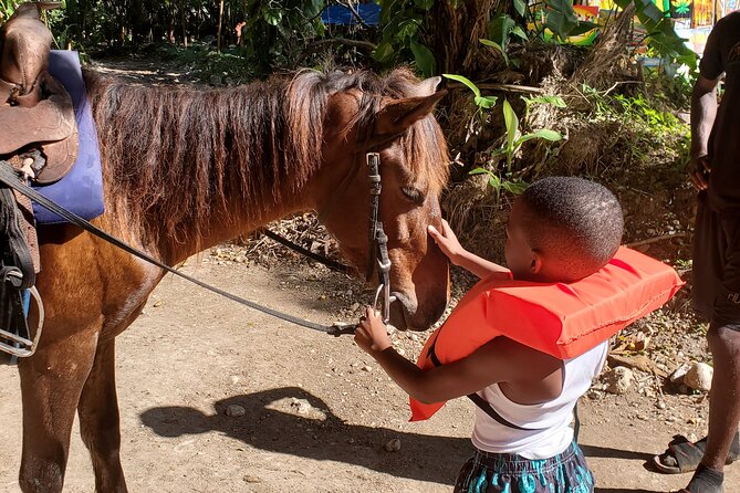 Dunn's River Falls Climb, Zipline and Horseback Riding Private Tour - Price and Value: What You’re Paying For