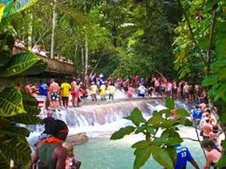 Dunn's River Falls Day Tour - Fern Gully walk and Jamaica’s herbs and spices lesson